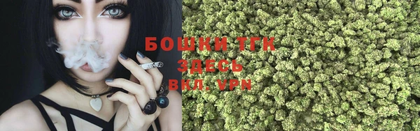PSILOCYBIN Бородино