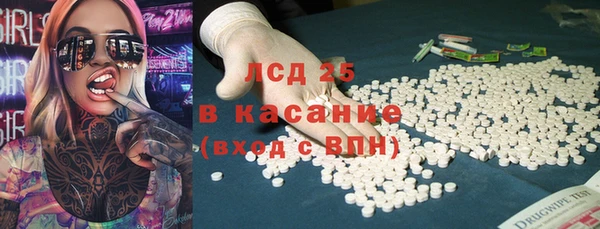 PSILOCYBIN Бородино