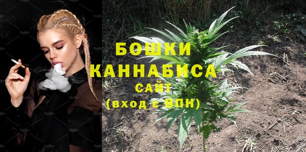 PSILOCYBIN Бородино