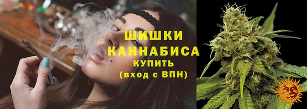 гидропоника Бронницы